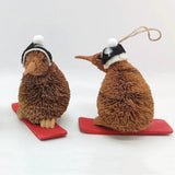 Kiwi Snowboarder