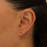 Charlotte Stud Earring - Gold