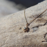 Rā Paua Necklace