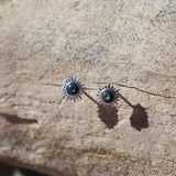 Rā Paua Stud