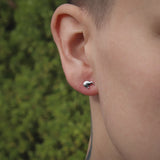 Kiwi Studs