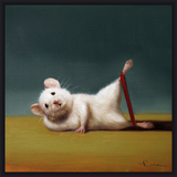 Black Box Frame - Gym Rat