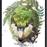 Kakapo Manuka - Black Box Frame