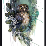 Morepork Putaputaweta - Black Box Frame