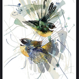 Piwakawaka Storm - Black Box Frame