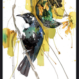 Spring Treat - Black Box Frame