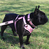 Frank Barker Harness
