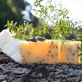 "Healing Me Softly" - Healing Body Bar