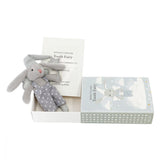Buddy in a Box - Tooth Fairy