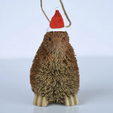 Kiwi - Natural w Xmas Hat