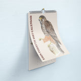Erin Forsyth - 2027 Wall Calendar