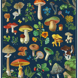 Foraging 1000 Pce - Vintage Puzzle