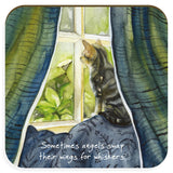 Angel Whiskers - Coaster