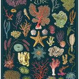 Ocean Flora 1000 Pce - Vintage Puzzle