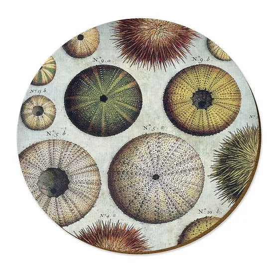 Wolfkamp & Stone Placemats