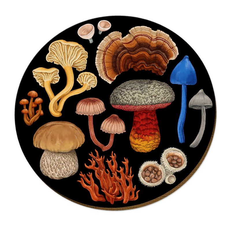 Wolfkamp & Stone Placemats