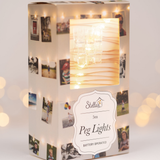 5m Photo Pegs Light String