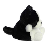 Palm Pals - Brody Collie