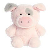 Smarty Pig