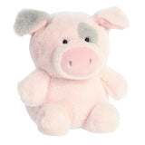 Smarty Pig