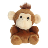 Palm Pals -  Boomer Monkey