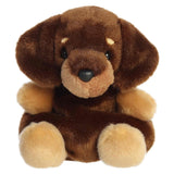 Palm Pals - Houdini Dachshund