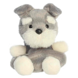 Palm Pals - Korra Schnauzer