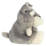 Palm Pals - Korra Schnauzer