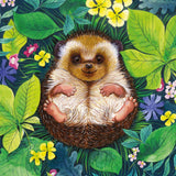 Happy Hedgehog - Card