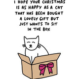 Cat in A Box - Christmas Card