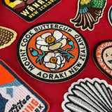 Mount Cook Buttercup