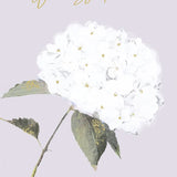 White Hydrangea Sympathy Card