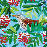 Fieldfare In The Snow Xmas Cards - Pk 8