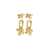 Ajani Earrings 2 In 1 Set Gold - Plated