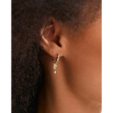 Sloan Earrings - Gold Plated