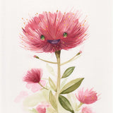 Garry Pohutukawa - Card