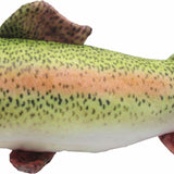 Rainbow Trout