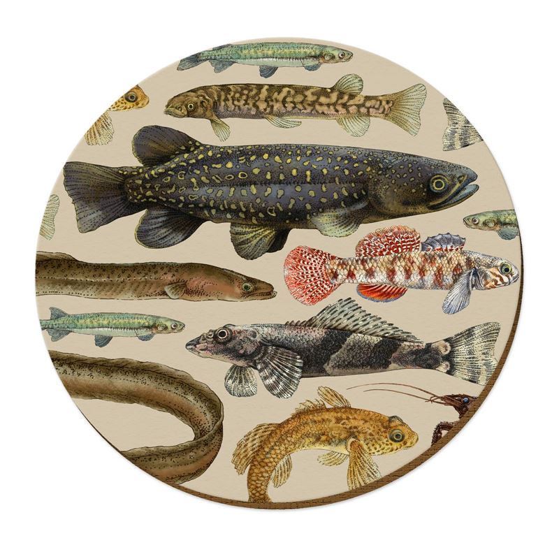 Wolfkamp & Stone Placemats