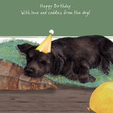 Birthday Labrador - Card