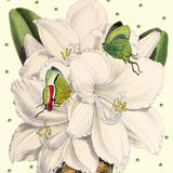 White Amaryllis - Glitter Wedding Card