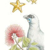 Kokako, Pohutukawa and Star