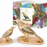 Gold Tui w/Paua Statue - 8.5cm