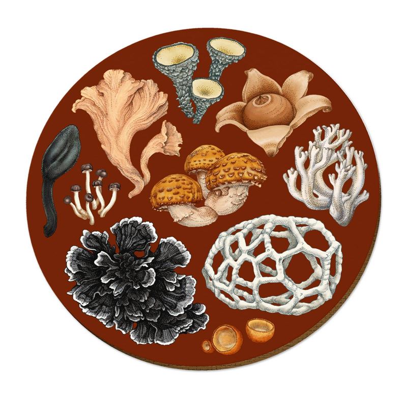 Wolfkamp & Stone Placemats