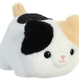 Spudsters Callie Cat
