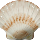 Ceramic Jewellery Bowl - Scallop