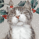 Nipping At Your Nose - Pack of 6 Christmas Cards