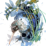 Evening Kiwi - Mini Card