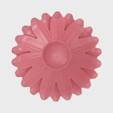 Bird Bath Sunflower - Pink