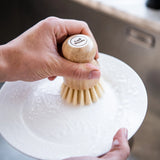 Dish Brush