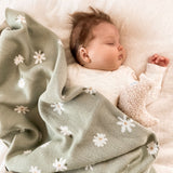 Organic Daisy Blanket in Thyme